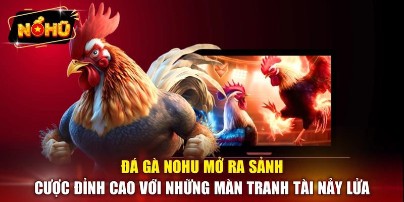 Đá gà NOHU mở ra sảnh cược đỉnh cao với những màn tranh tài nảy lửa